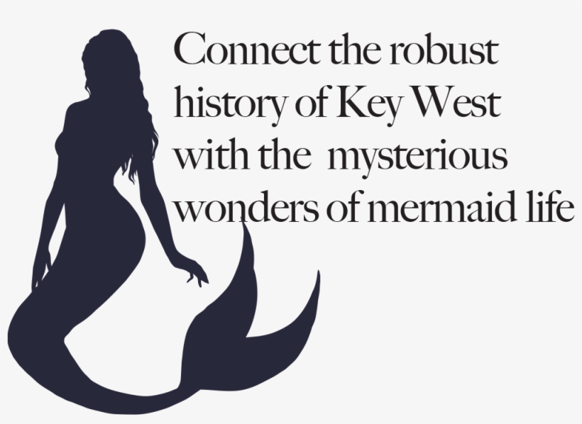 Key West Mermaids - Classic Papers In Control Theory By Bellman / Kalaba, transparent png download