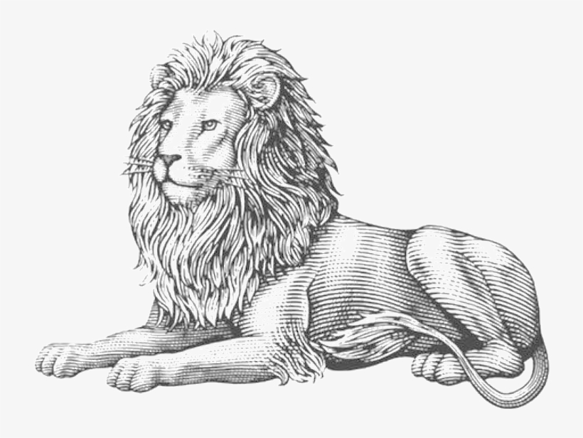 Lion Lion Is A Lover - Lion Engraving Illustration, transparent png download