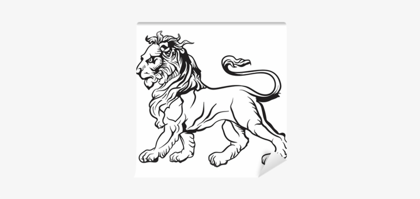Lion, transparent png download