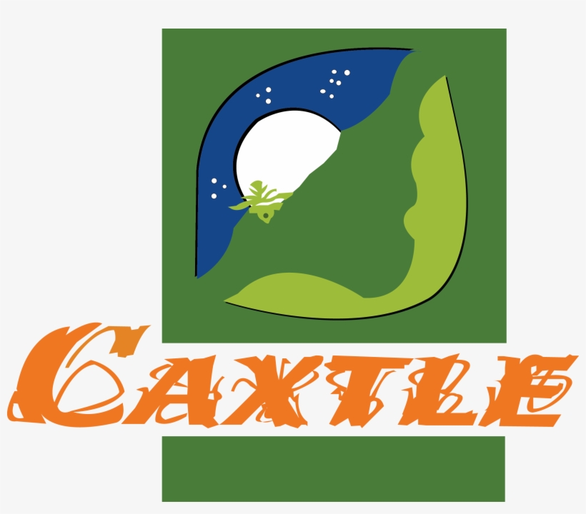 Comunidades Organizadas De La Sierra De Hidalgo - Organization, transparent png download