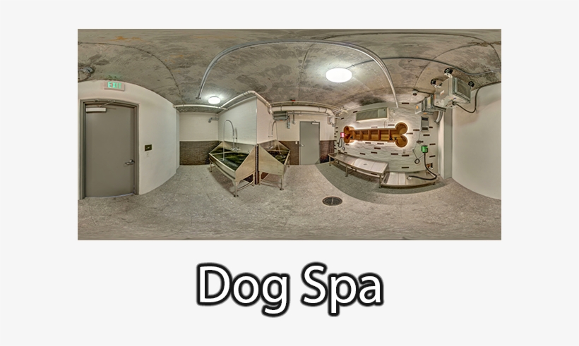 Dog Spa - Floor, transparent png download