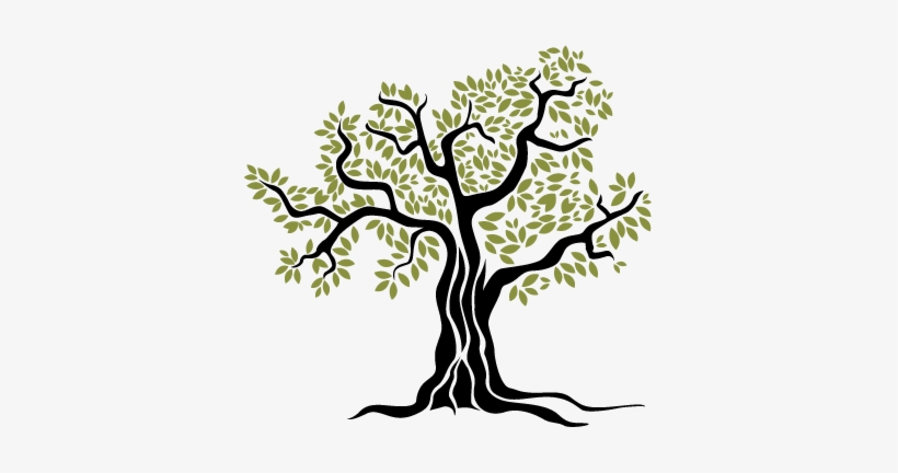 Old Olive Tree Wall Sticker - Record & Grade Book Teacher Created Resources:, transparent png download
