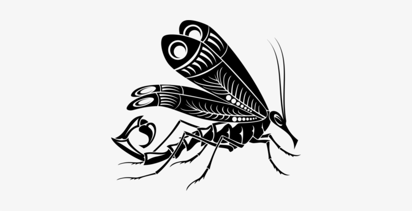 Butterfly Mosquito Scorpion Animal - Mosquito Tribal, transparent png download