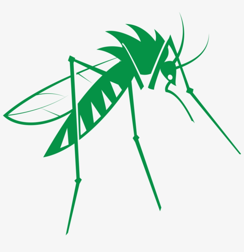 Mosquito - Mosquitoes Png, transparent png download