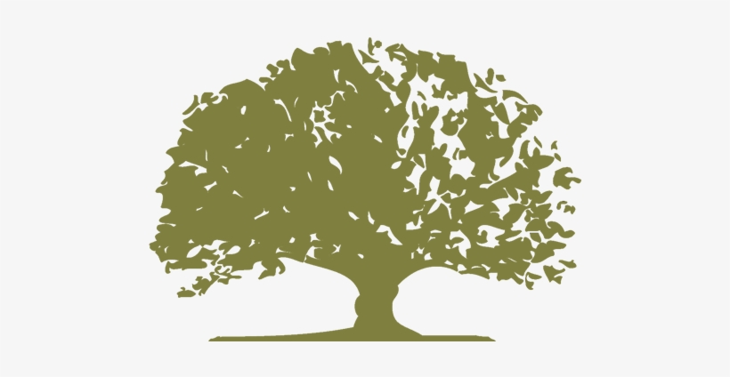 Download Olive Logo - لوگوی مدرسه, transparent png download