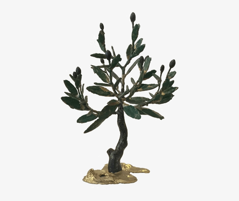Bronze Olive Tree - Olive, transparent png download