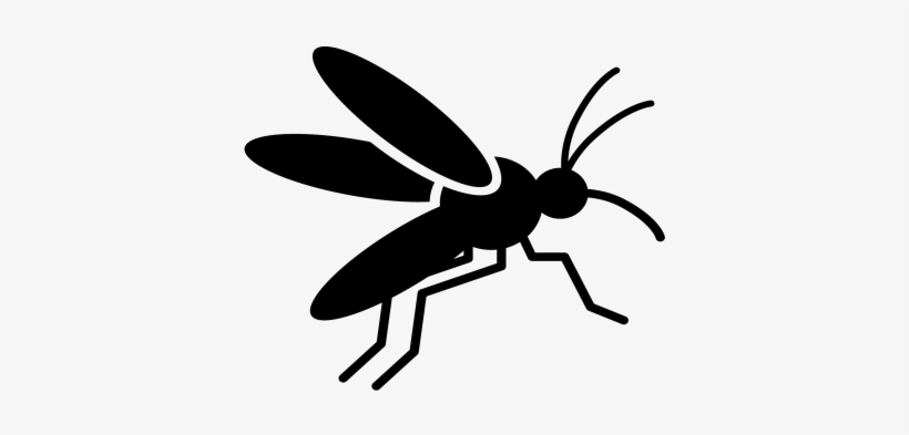Climate Change And Mosquito-borne Diseases - Mosquito, transparent png download