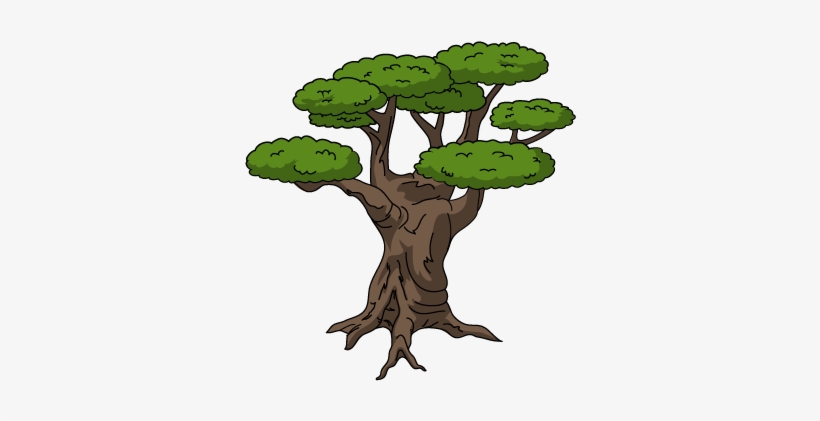 Pruned Olive Tree - Illustration, transparent png download