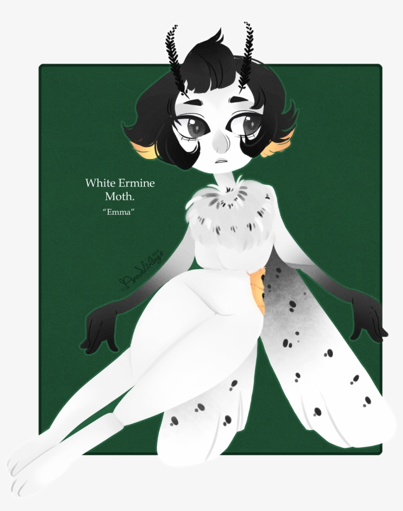 So Why Not Have Fairies To Go With The Mushroom Photographs, - Photography, transparent png download