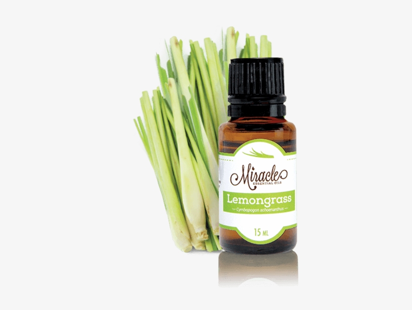 Store Lemongrass Miracle Essential Oils - Essential Oil, transparent png download