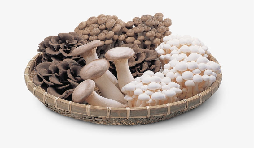 Japanese Mushrooms - Vegetables Mushrooms, transparent png download