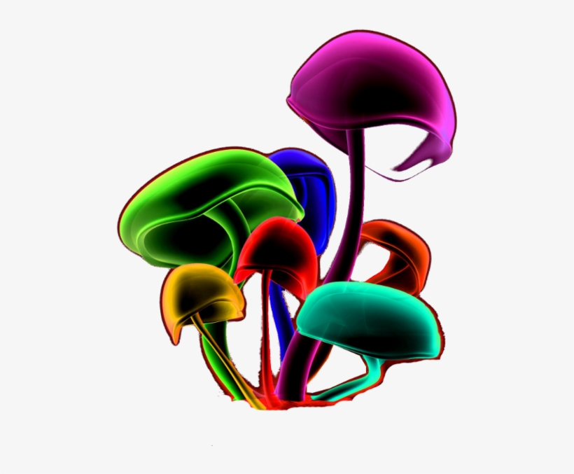 Magic Mushrooms - Transparent Magic Mushroom, transparent png download