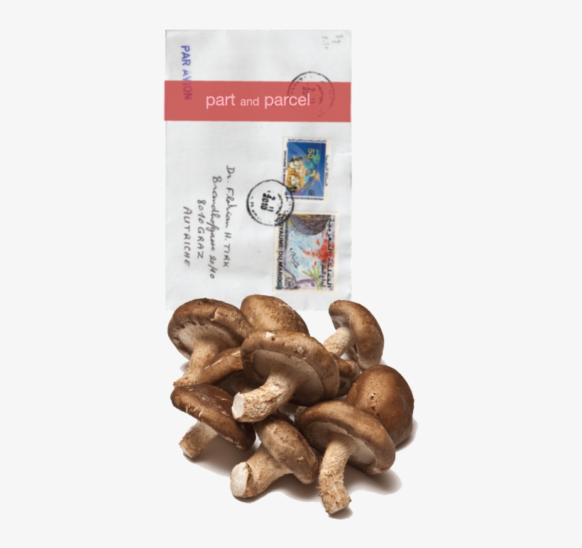 Mushrooms - Shiitake Mushroom, transparent png download