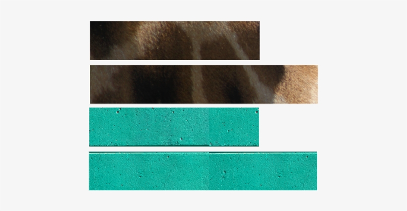 Custom Kit Watercolor - Horse, transparent png download