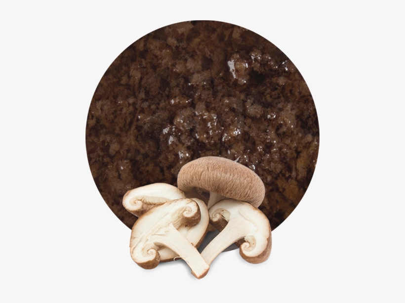 We Only Work With The Best Raw Materials So We Select - Fresh Mushroom, transparent png download
