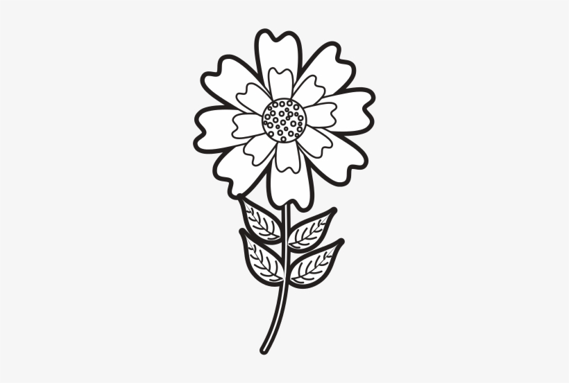 Stock Flower Natural Petal Decoration - Flower, transparent png download