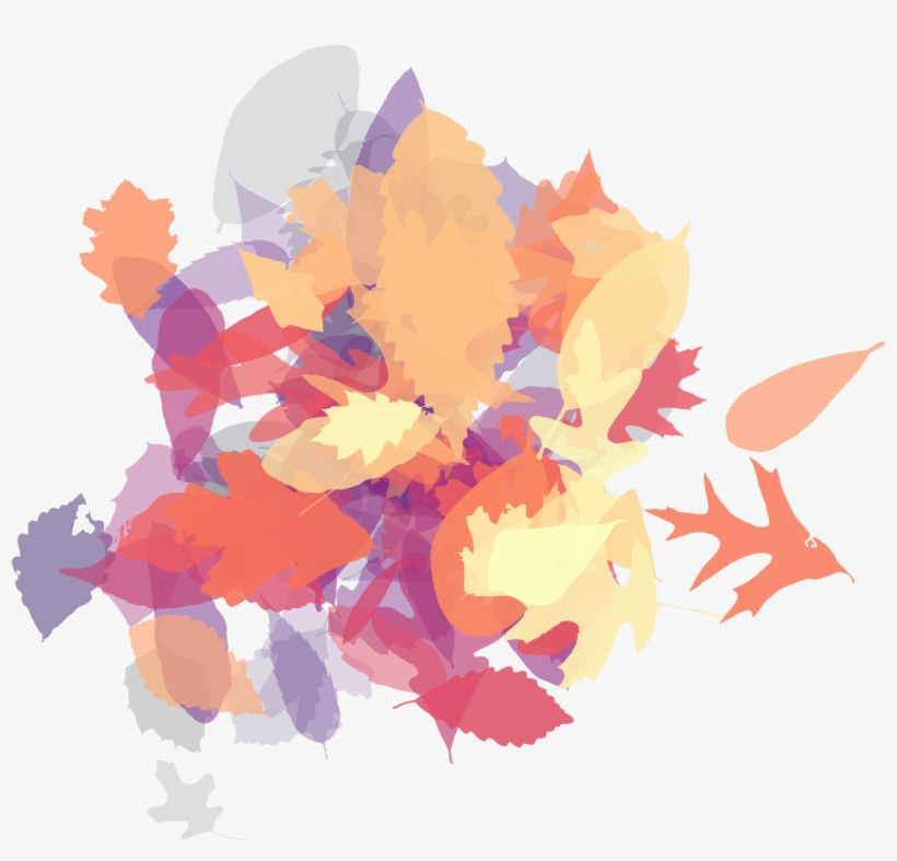 Joe Wan On Twitter - Illustration, transparent png download