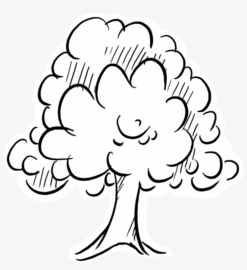 Tree Outline Graphic - Illustration, transparent png download