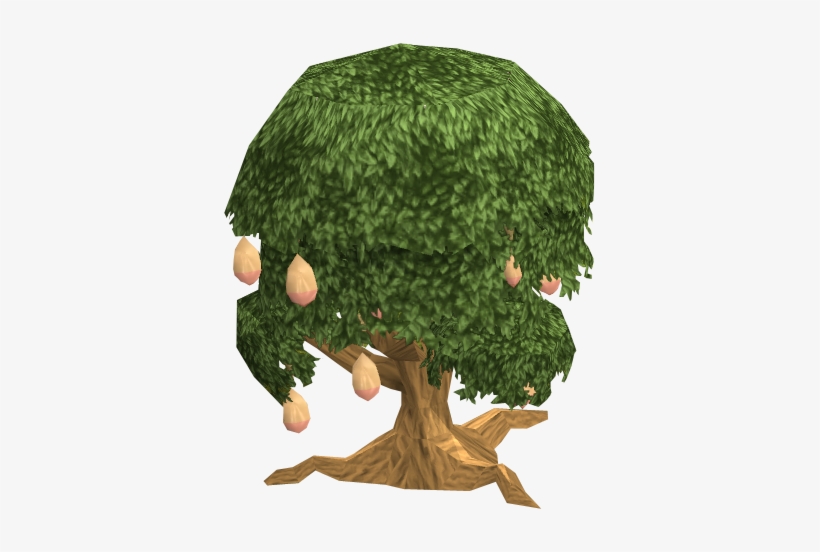Image Mango Fairy Tale Png Runescape Wiki - Mango Tree, transparent png download