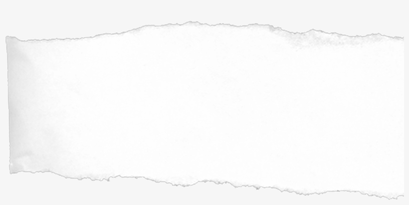 Download Torn Paper Texture Png - Tree - HD Transparent PNG - NicePNG.com