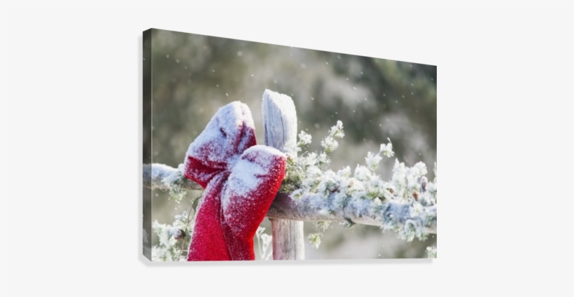 Fresh Snow On Holiday Bow And Decorations On Fence - Printscapes Wall Art: 36" X 24" Canvas Print With Black, transparent png download