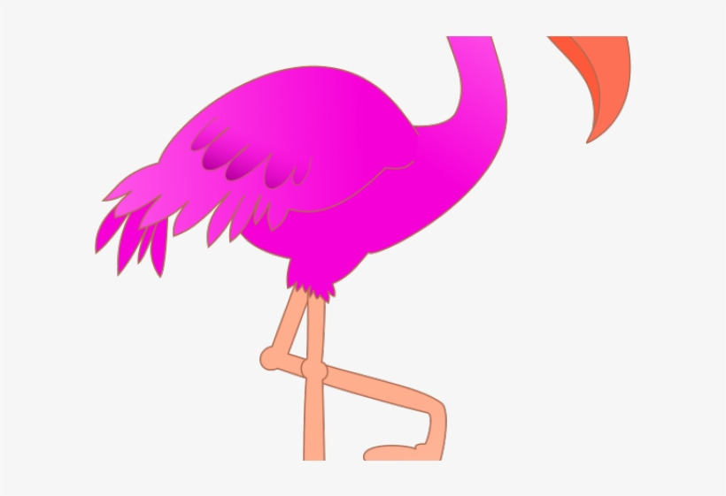 Free On Dumielauxepices Net - Flamingo Clipart, transparent png download