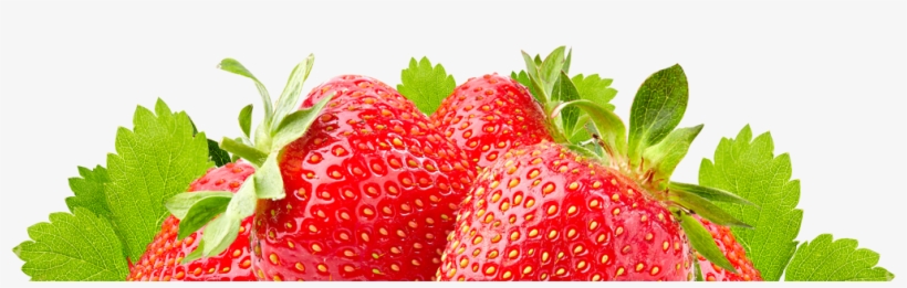 Fresas Campoberry - Fresas Png, transparent png download