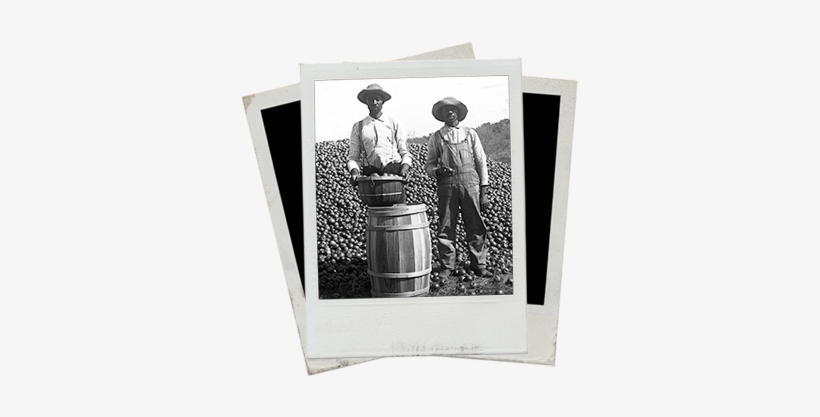 African American Genealogy - Mayes Negro Genealogy, transparent png download