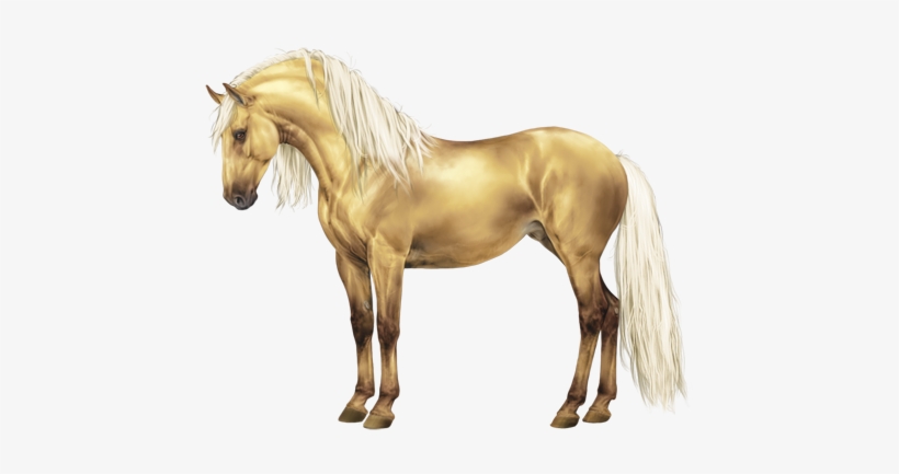 Aureola [83 - 35] - Horse, transparent png download