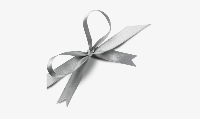 Holiday Gift Guide - Silver Gift Ribbon Png, transparent png download