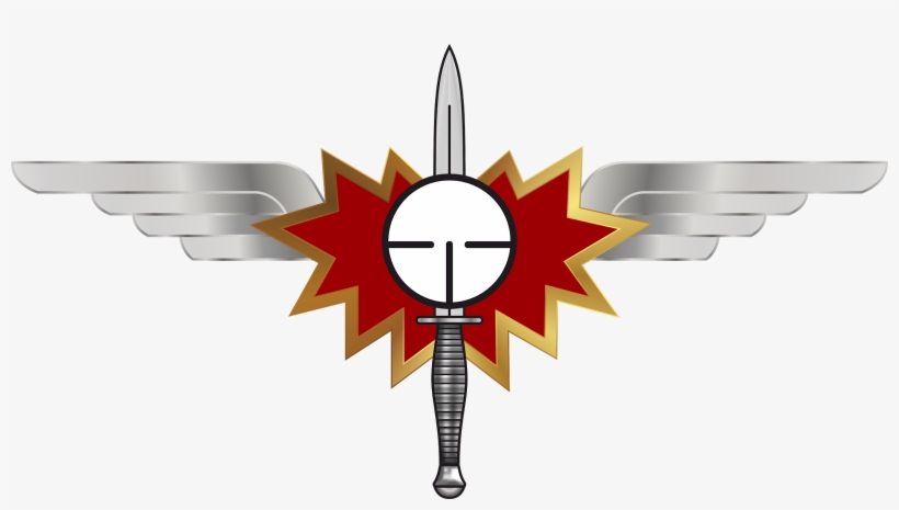 Portugal, Flag, Arms, Military, Arm, Color Guard, Weapons, - Military, transparent png download