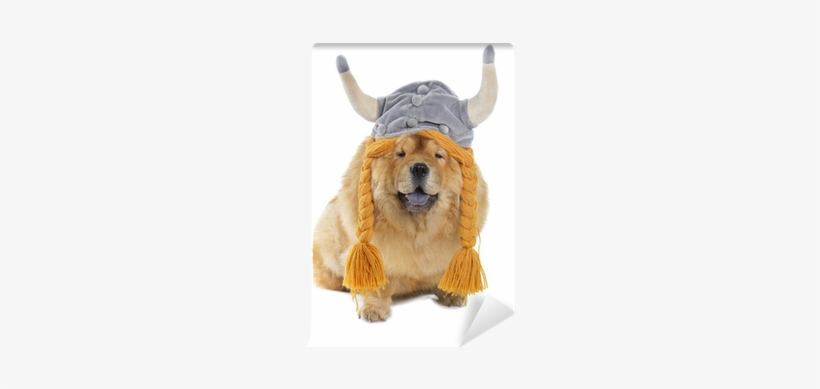 Dog, transparent png download