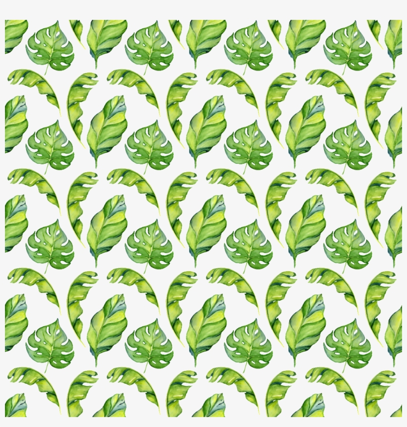 Pintado A Mano De Png De Hoja De Plátano Mapa De Fondo - Portable Network Graphics, transparent png download