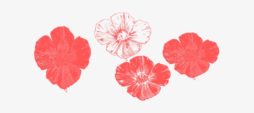 Peach Poppies Clip Art - Peach Poppy Flower Clipart, transparent png download