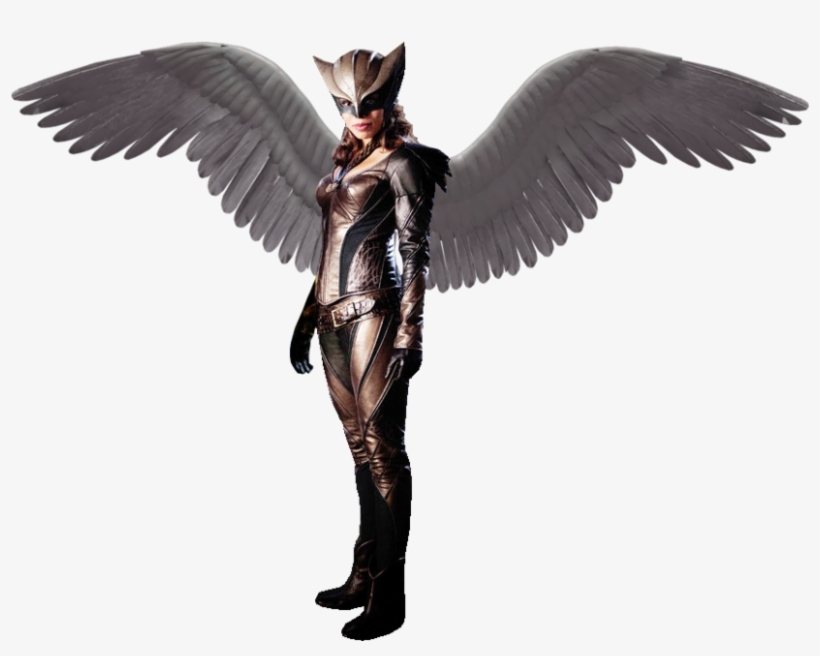 Png Mulher Gavião - Legend Of Tomorrow Png, transparent png download