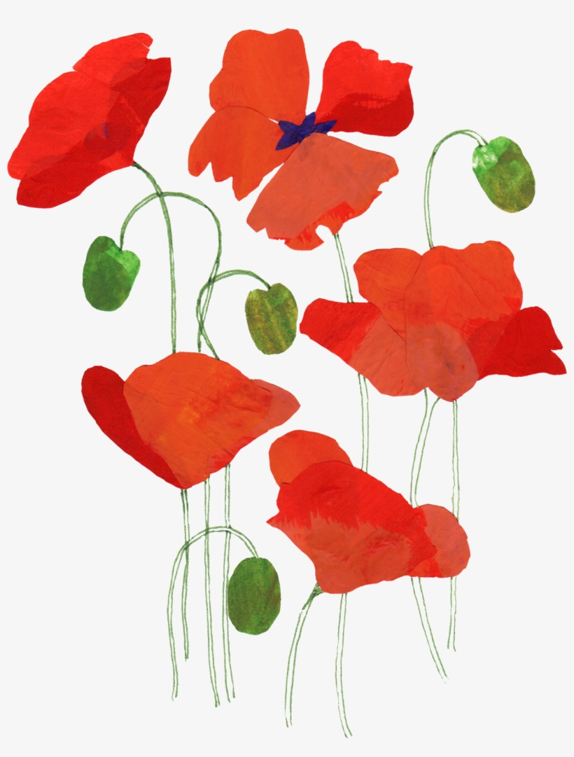 August Birthday Card For Friend, Poppies Card, transparent png download