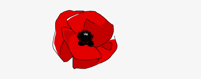 Poppy, transparent png download