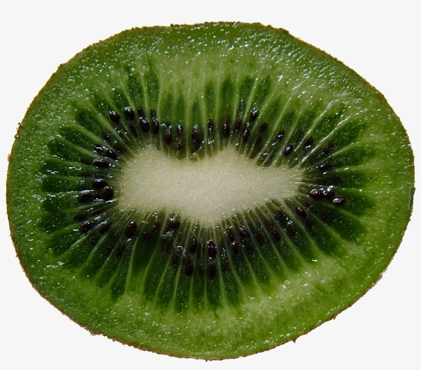 Green Cutted Kiwi Png Image - Kiwi Fruit Cross Section, transparent png download