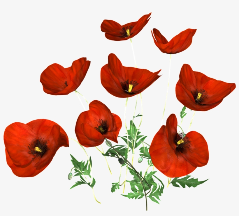 Hand Painted Black Poppy Flower Png Transparent - Poppy, transparent png download