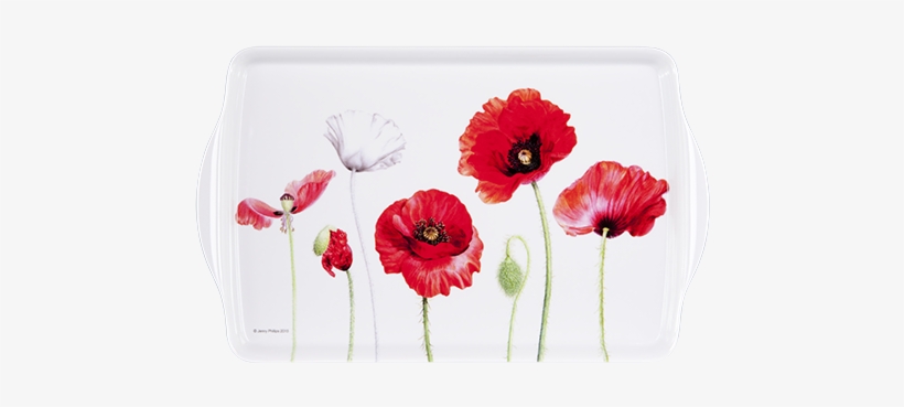 89626 Mediumtray Australianwarmemorial Poppies P Ashdene - Cork Backed Placemats With Holder, transparent png download