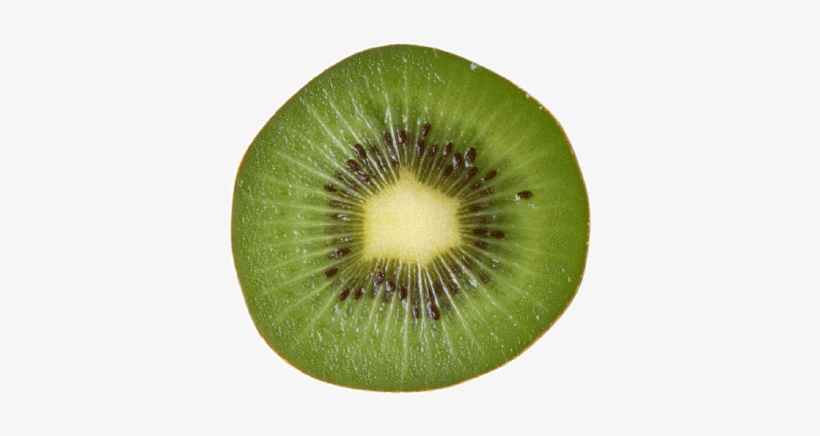 Kiwi Slice Png Download - Kiwi, transparent png download