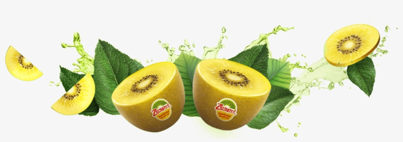 Feel Alive With Zespri Kiwifruit - Kiwi Zespri Png, transparent png download