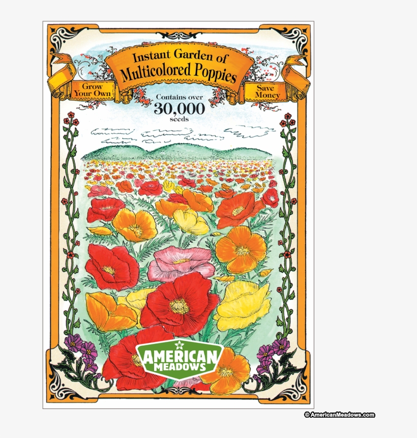 Instant Garden Of Multicolored Poppies Jumbo Packet - Poppy, transparent png download