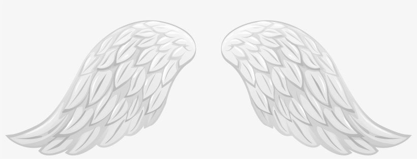 White Angel Wings Png For Kids - Portable Network Graphics, transparent png download