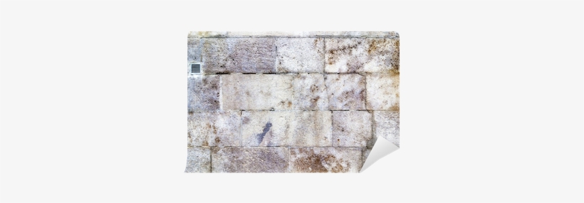 Floor, transparent png download