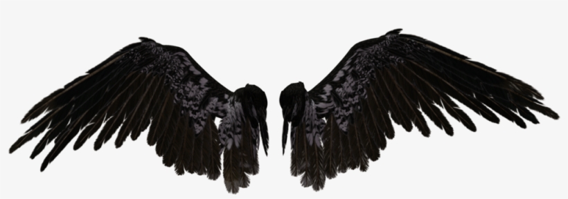 Angel Wings Png - Black Angel Wings Png, transparent png download