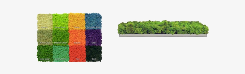 Acoustic Moss Panels™ Are Made From Reindeer Moss Which - Moss Acoustic Panel, transparent png download
