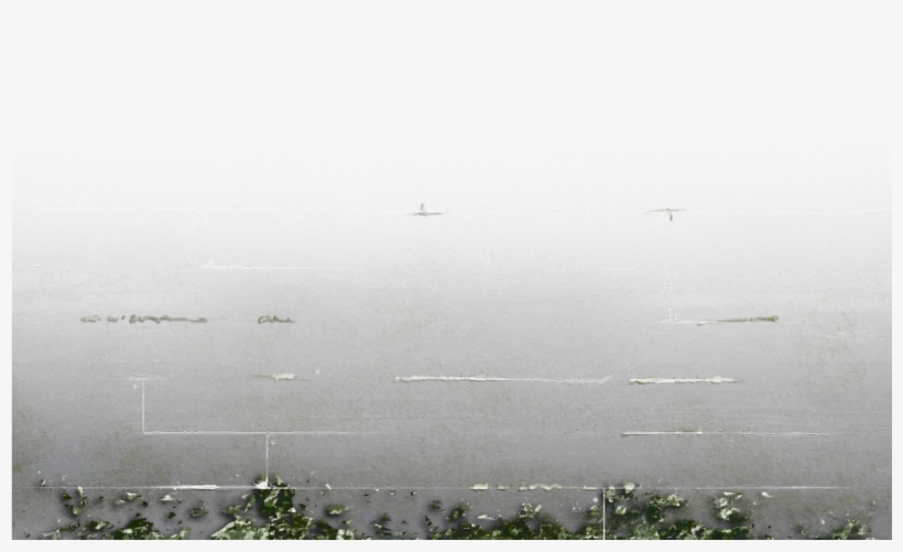 [ Img] - Grass, transparent png download