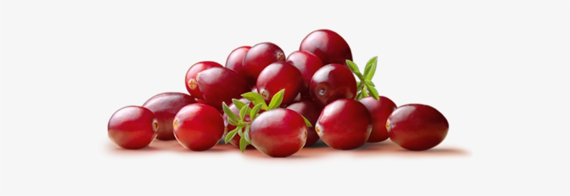 Weights May Vary Slightly Depending On Packaging Material - Cranberry, transparent png download