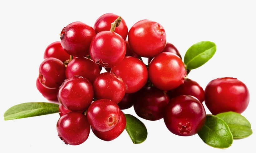 Clip Library Library Juice Fruit Cherry Png Picture - Radius Vegan And Biodegradable Floss Sachets With Natural, transparent png download